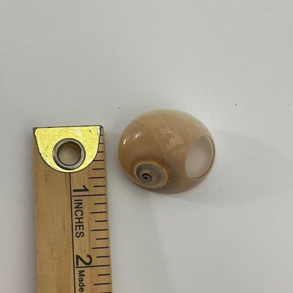 New VTG Sz 3 Ring Beige Turbo Sea Shell Artisan Hand Carved Pinky Finger - Picture 6 of 9